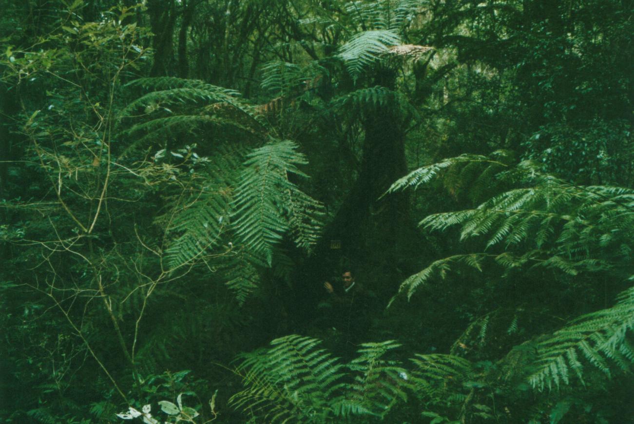 1301x870 pixels (170,1K)